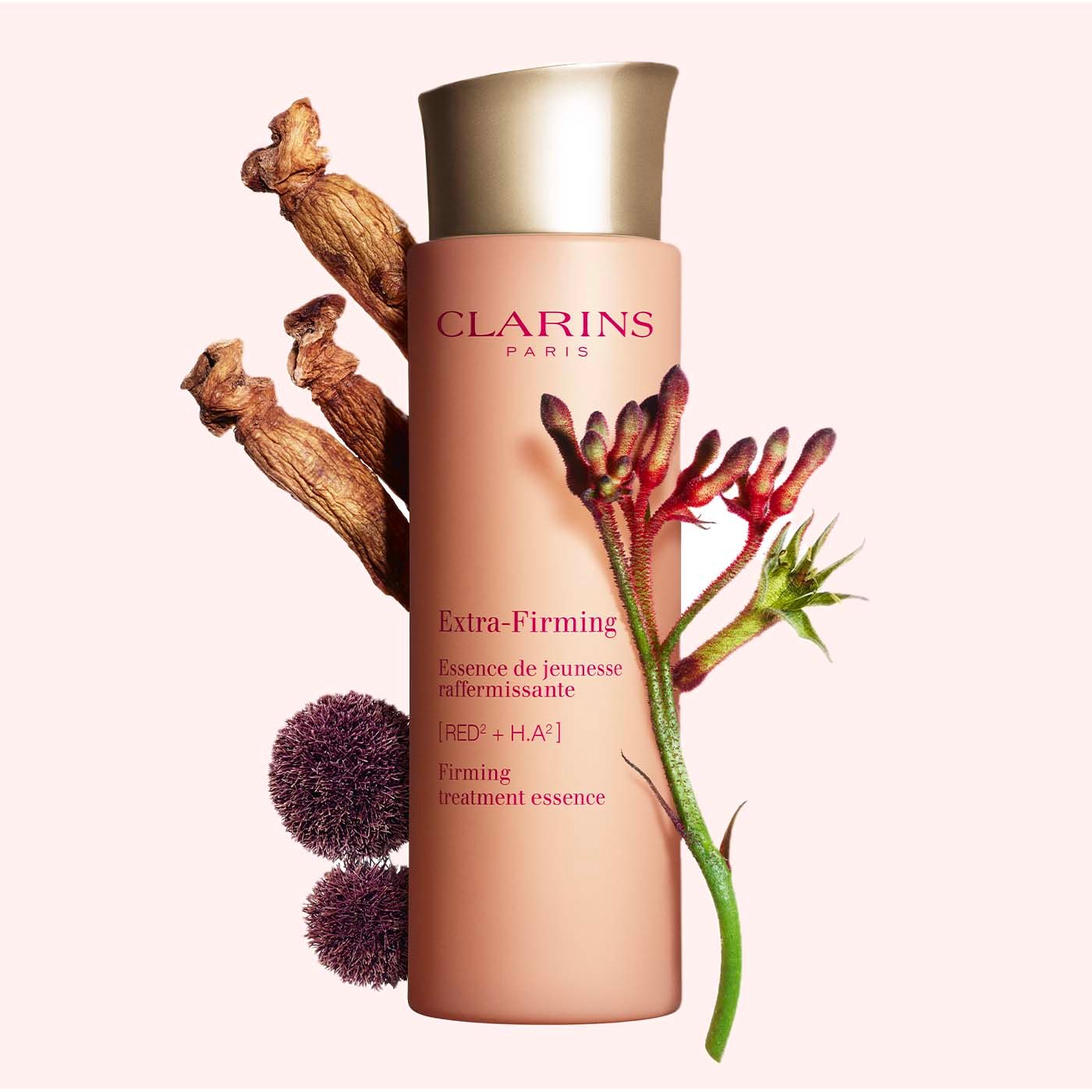 80083072_original_original_1